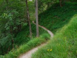 2013-07-20_Regina-F-Rau_Kochel-Rabenkopf (499).JPG